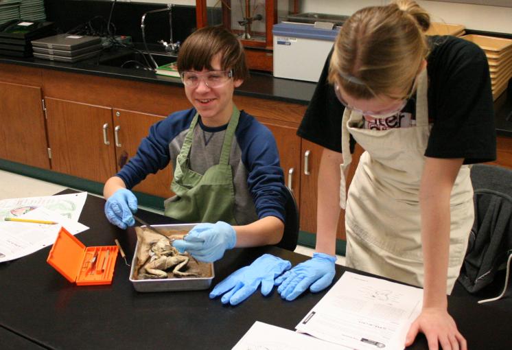 Science dissection kits