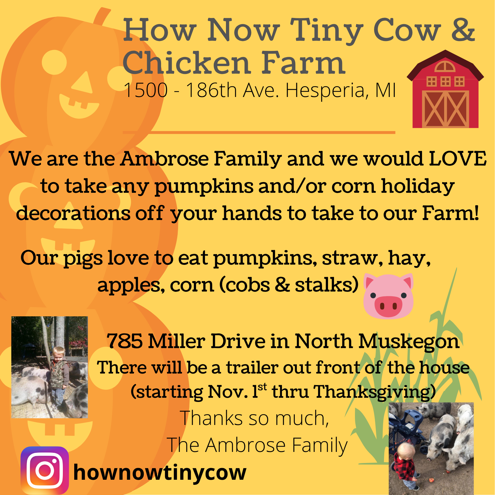How Now Tiny Cow & Chicken Farm 1500 -186th Ave. Hesperia, MI We are the Ambrose family and we would LOVE to take any pumpkins and/or corn holiday decorations off your hands to take to our Farm! Our pigs love to eat pumpkins, straw, hay, apples, corn (cobs & stalks) 785 Miller Drive in North Muskegon There will be a trailer out front of the house (starting Nov. 1s thru Thanksgiving) Thanks so much, The Ambrose Family hownowtinycow